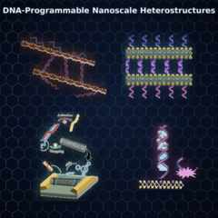 Four diagrams showing DNA-programmable nanoscale heterostructures