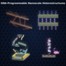 Four diagrams showing DNA-programmable nanoscale heterostructures