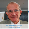 Head shot of Prof Ferdinando Auricchio with his name and affiliation underneath and the QAMSS logo next to it with "Lecture Series" underneath